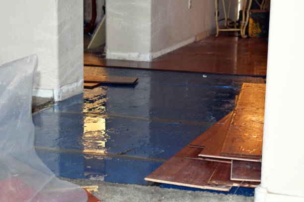 Professional Water Damage Restoration technician working in Buckholts, TX